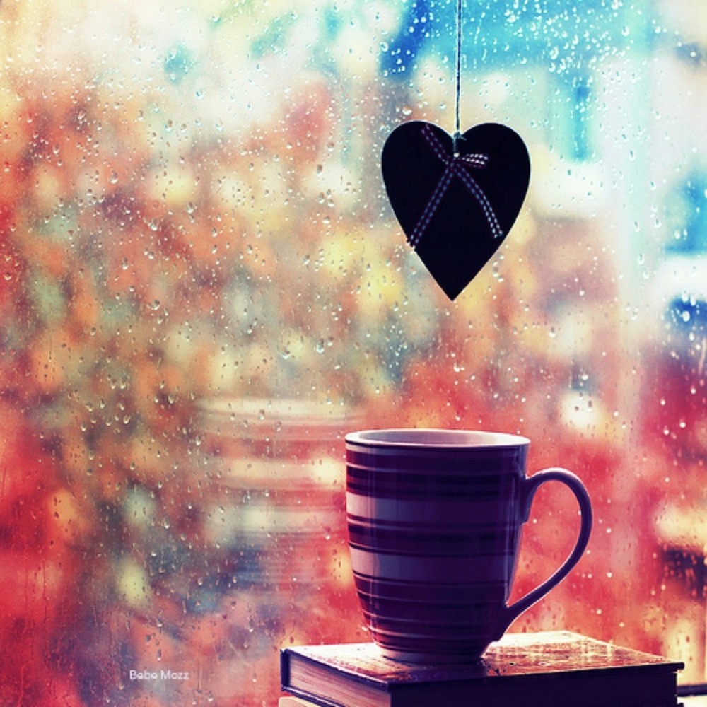 Meet your Posher, Posh